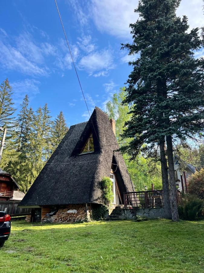 Mountain Getaway Cabin Cheia  Ngoại thất bức ảnh