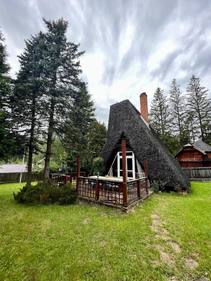 Mountain Getaway Cabin Cheia  Ngoại thất bức ảnh