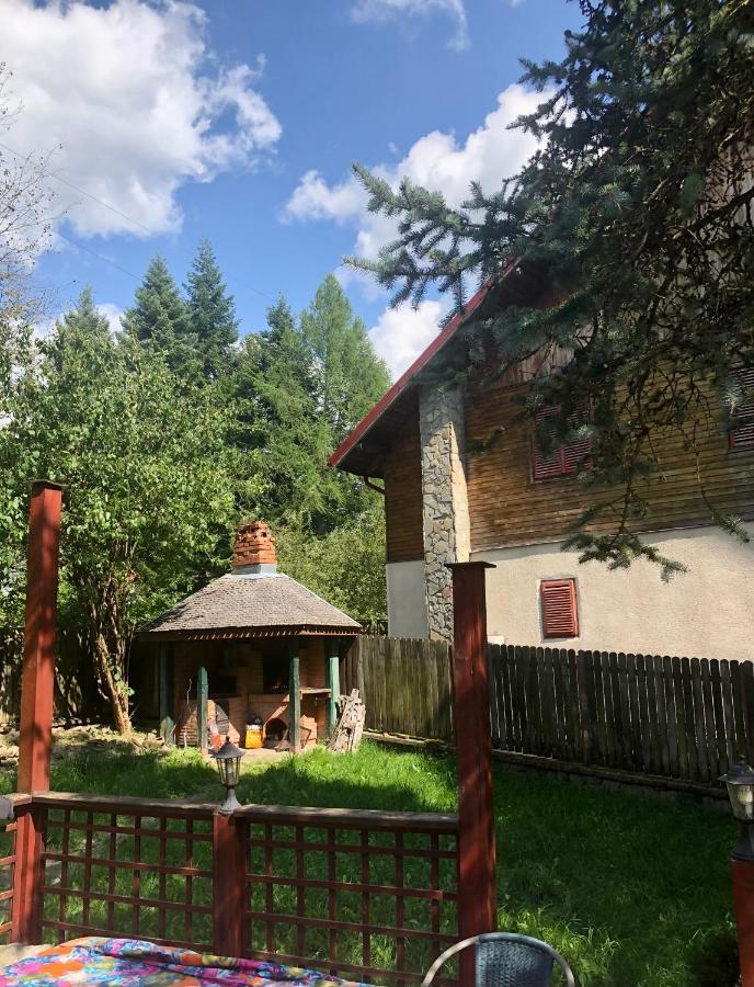 Mountain Getaway Cabin Cheia  Ngoại thất bức ảnh